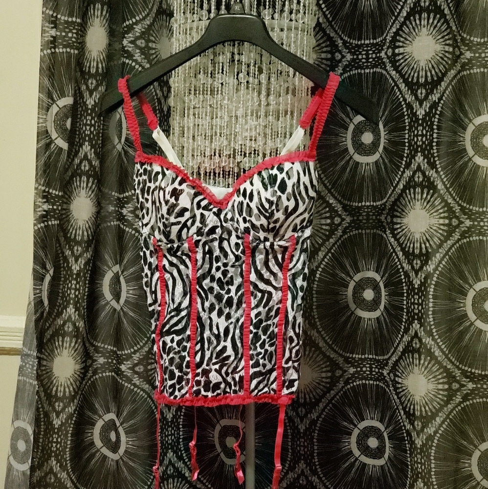 Arianne Black & White Zebra Print Teddy/Negligee